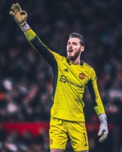 deGea02