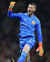 deGea20