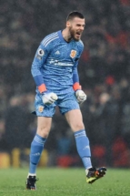 deGea22